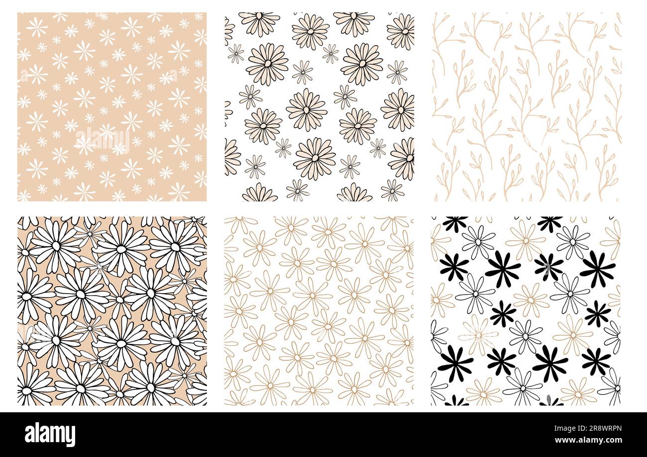 Seamless pattern with daisy flower Stock Vector Image & Art - Alamy