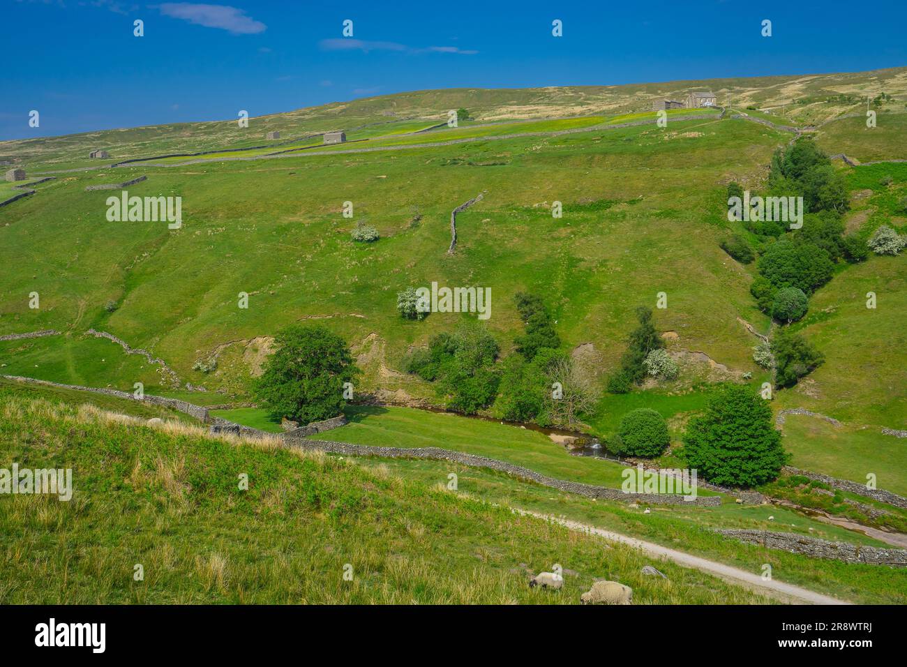 The steep sides of the valley of West Sotnesdale near Keld, Yorkshire Dales National Park. Stock Photo