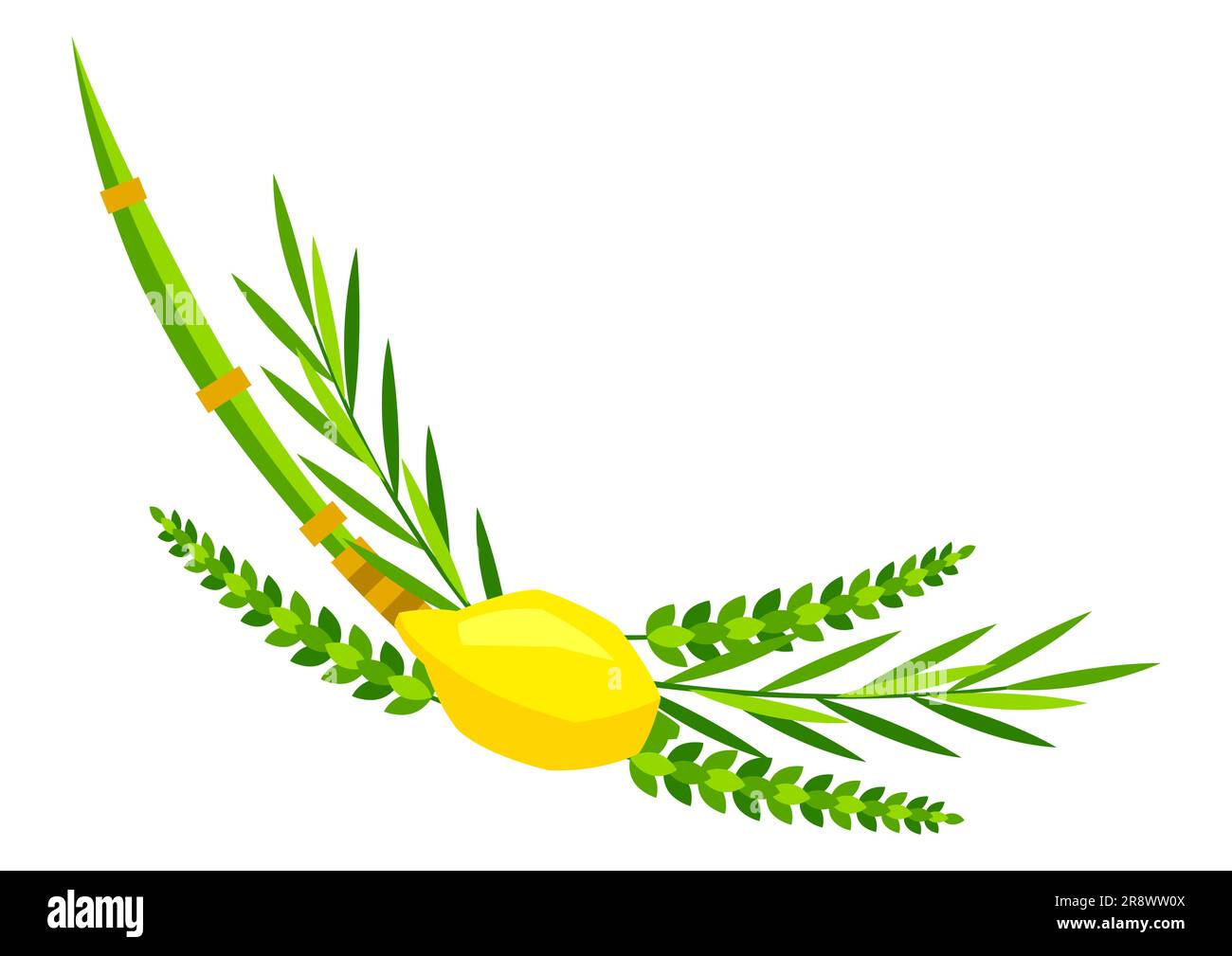 Happy Sukkot symbols. Four species etrog, lulav, willow and myrtle