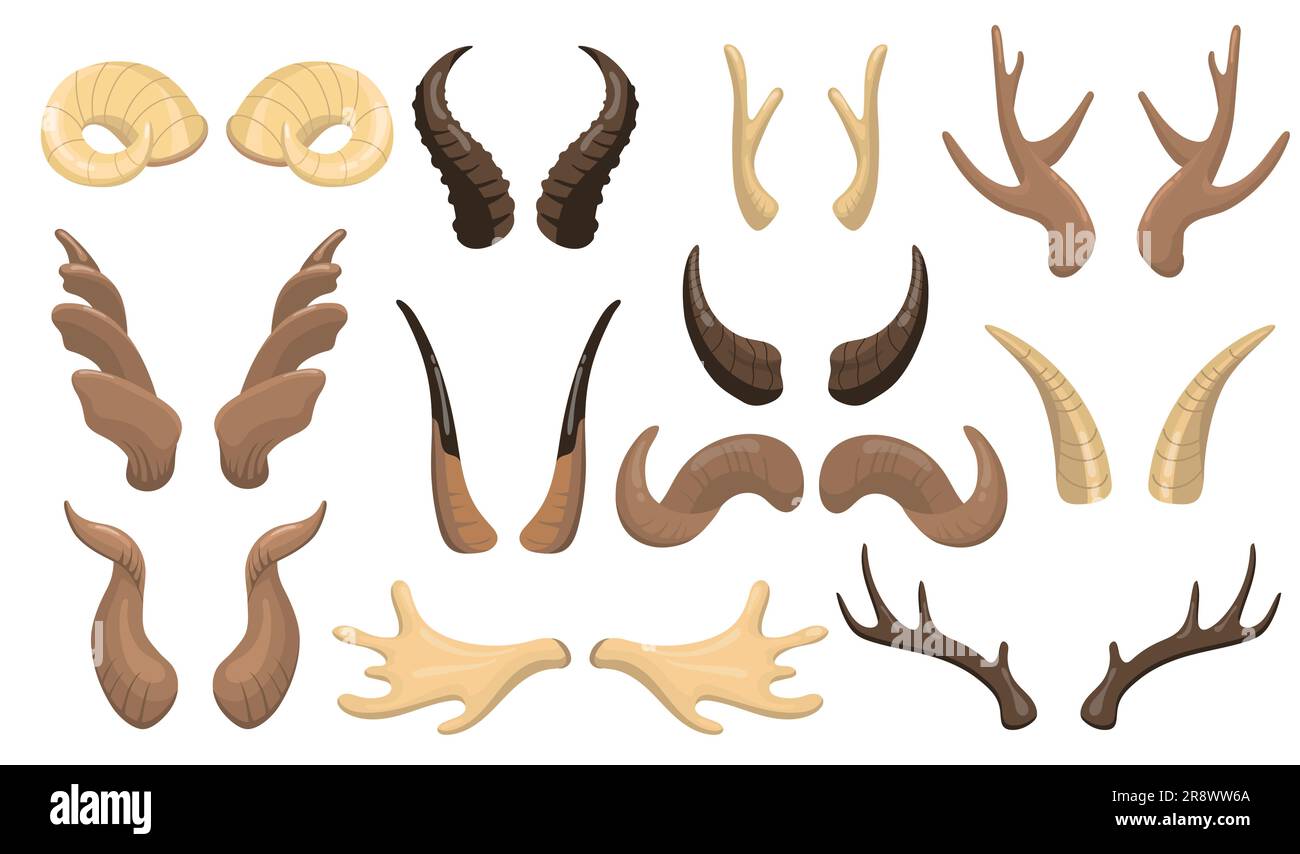 Horns and antlers set Stock Vector Image & Art - Alamy