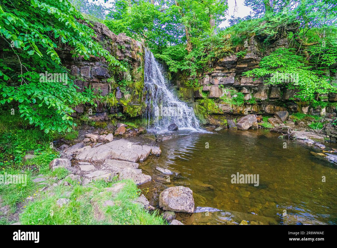 East Gill Force waterfall near Keld in Swaledale, Yorkshire Dales National Park Stock Photo