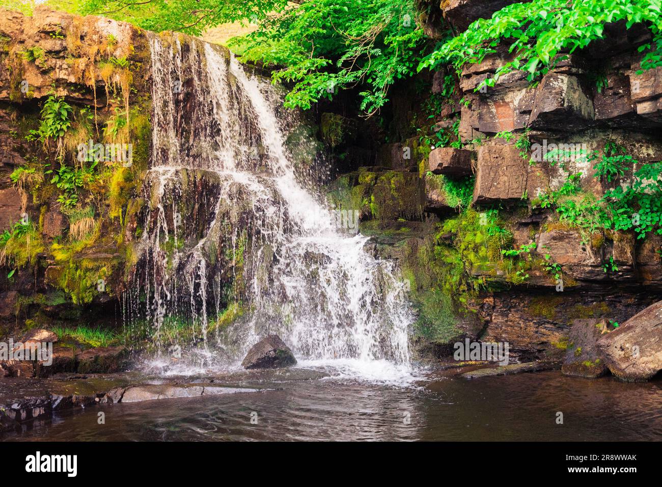 East Gill Force waterfall near Keld in Swaledale, Yorkshire Dales National Park Stock Photo
