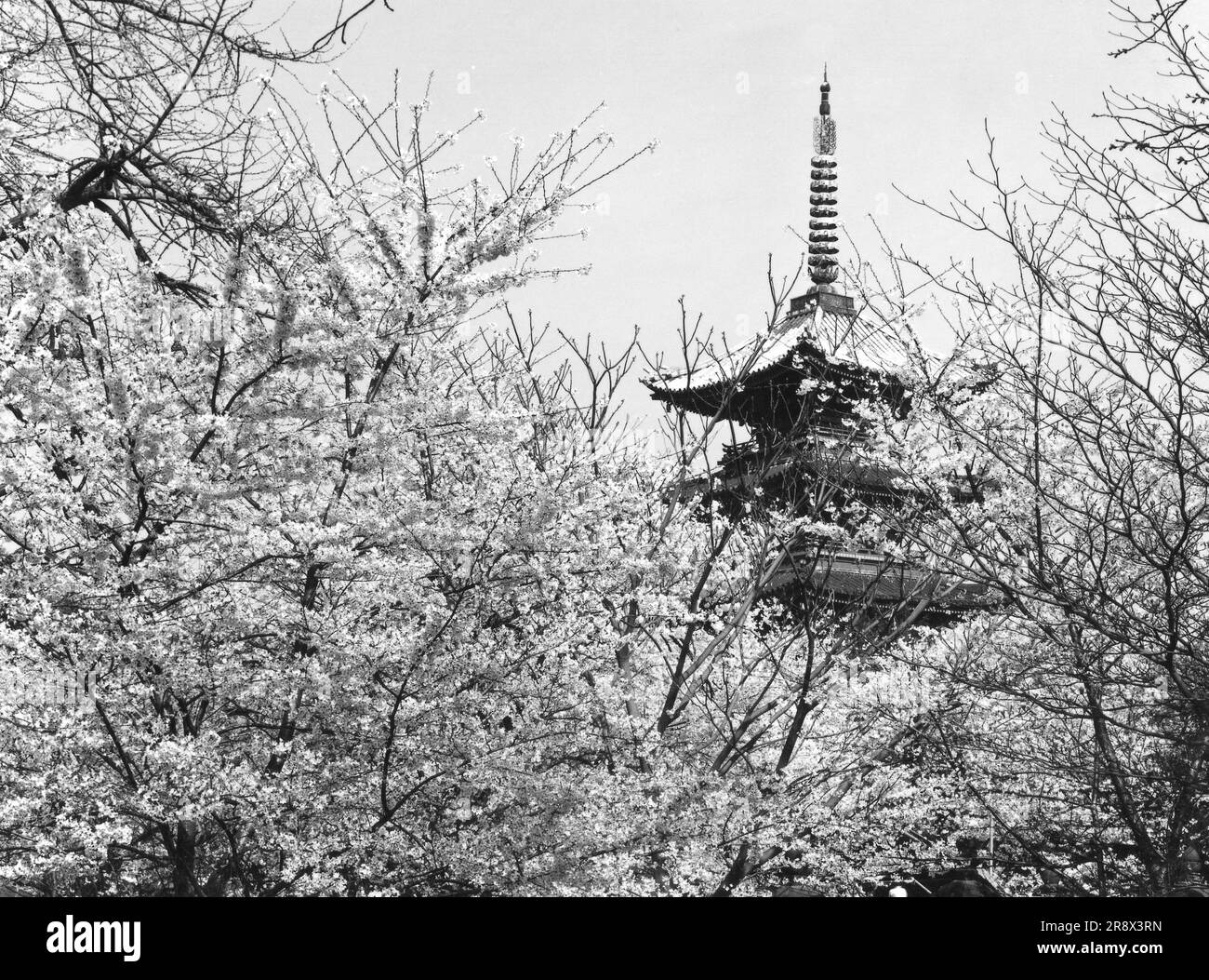 Former kan'ei-ji Temple five-story pagoda Stock Photo