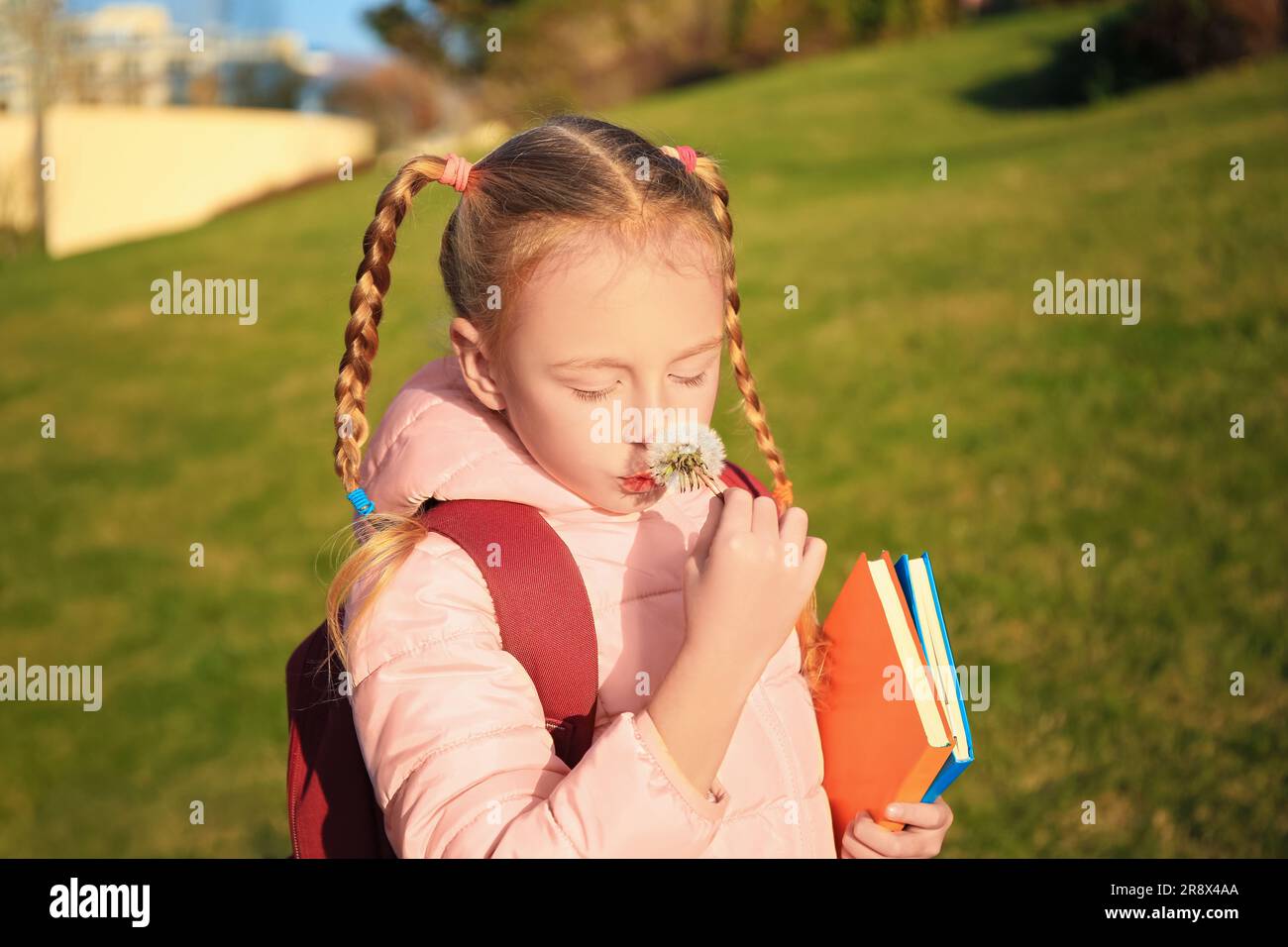 Cute little girl with dandelion, backpack and textbooks outdoors Stock ...