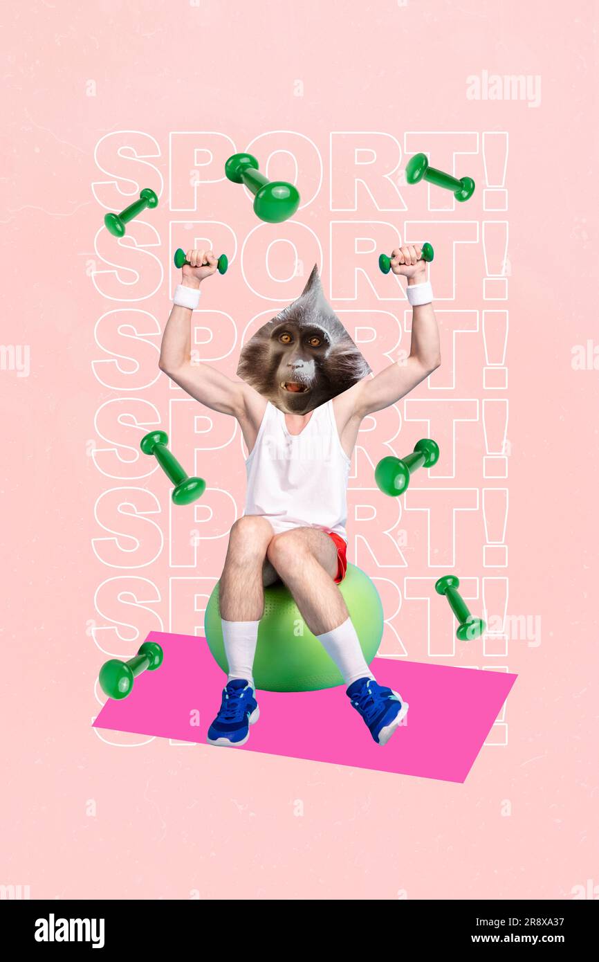 Funky Torso 3d retro creative artwork template collage of funky chimp head guy body ...