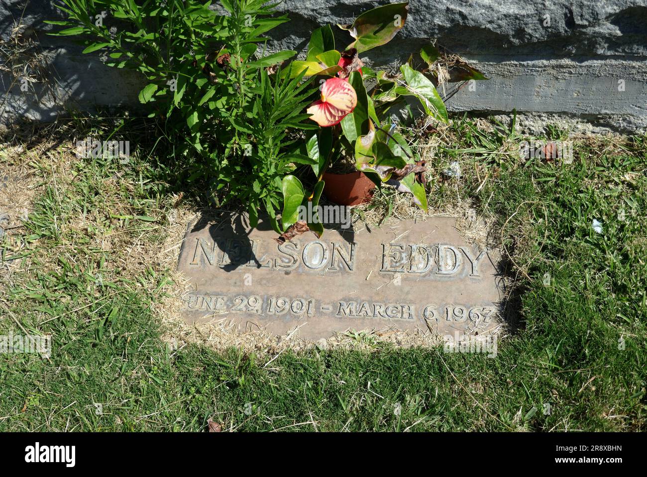 Los angeles california usa 22nd june 2023 actor singer nelson eddy