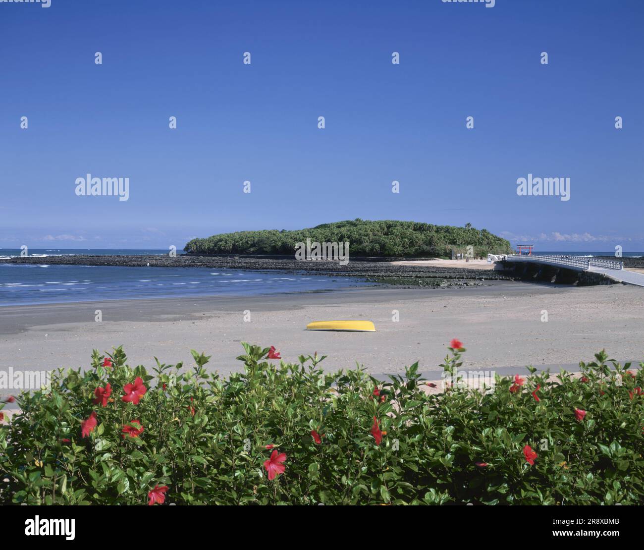 Aoshima island hi-res stock photography and images - Alamy