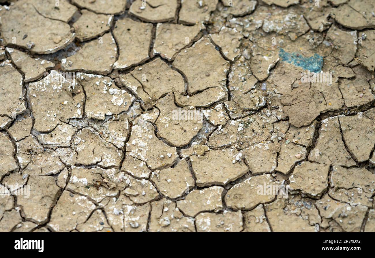 cracked earth in the garden Stock Photo
