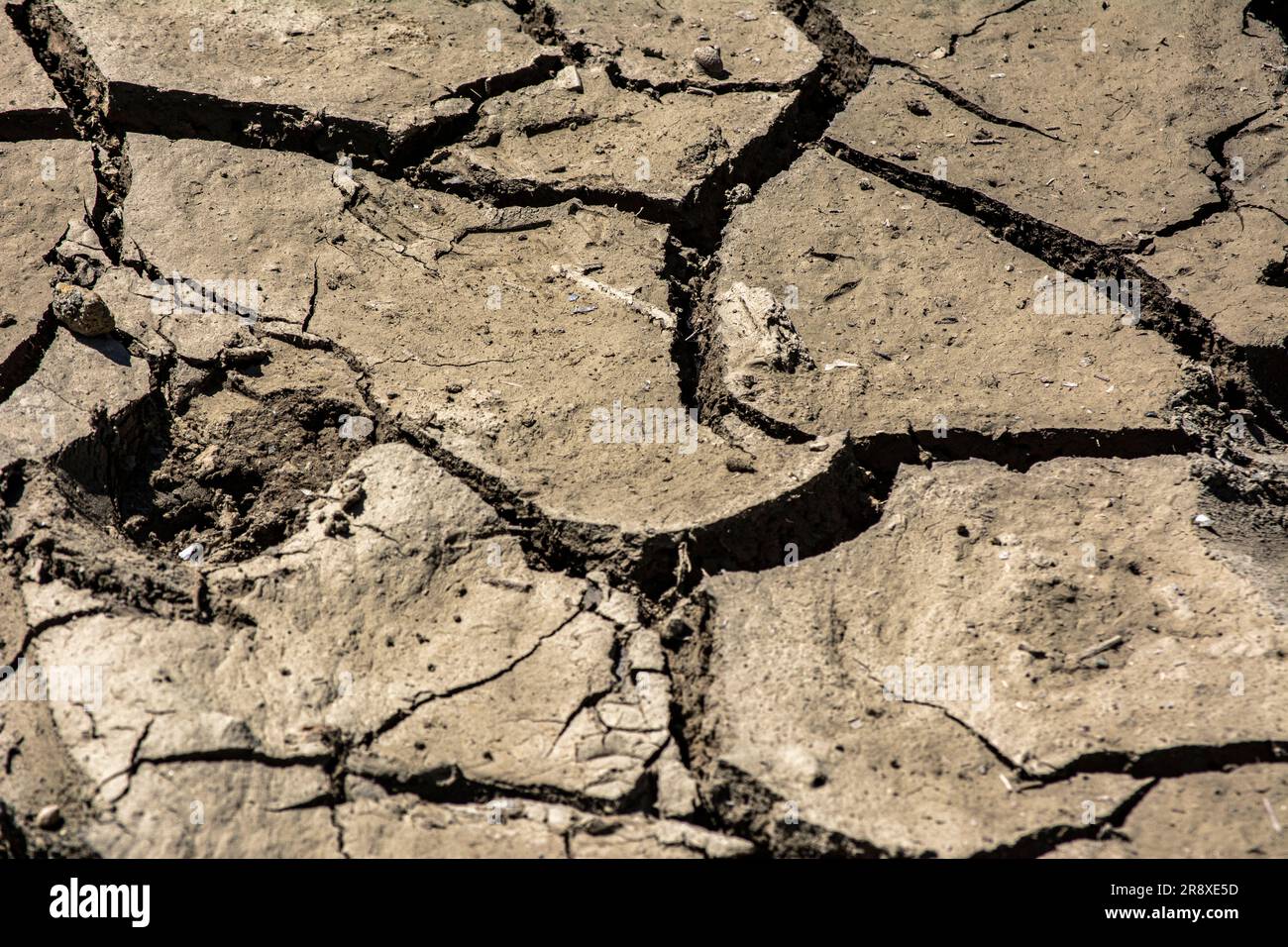 Dry mud the bottom of an empty swamp, cracked by the summer sun Stock