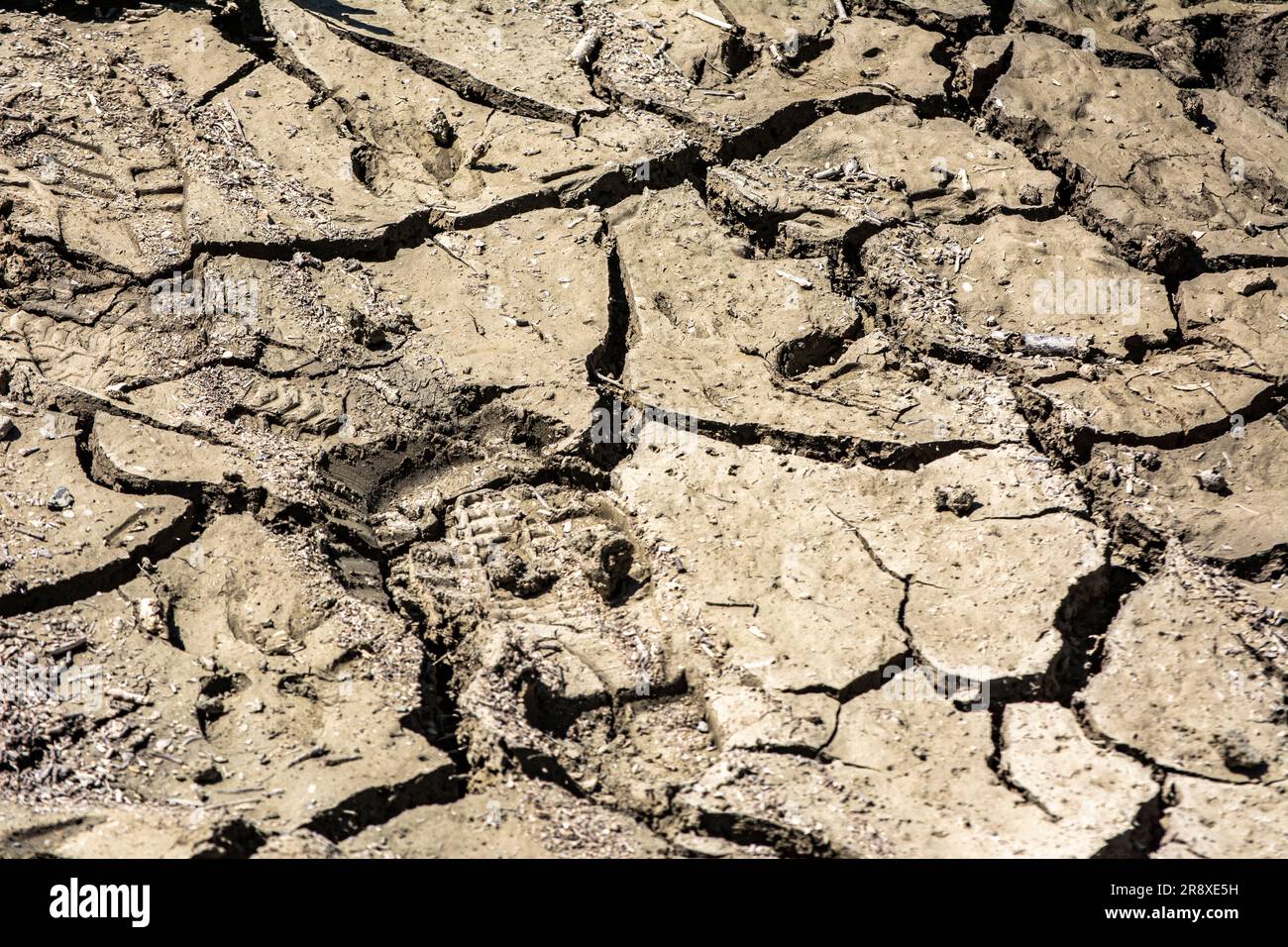 Dry mud the bottom of an empty swamp, cracked by the summer sun Stock