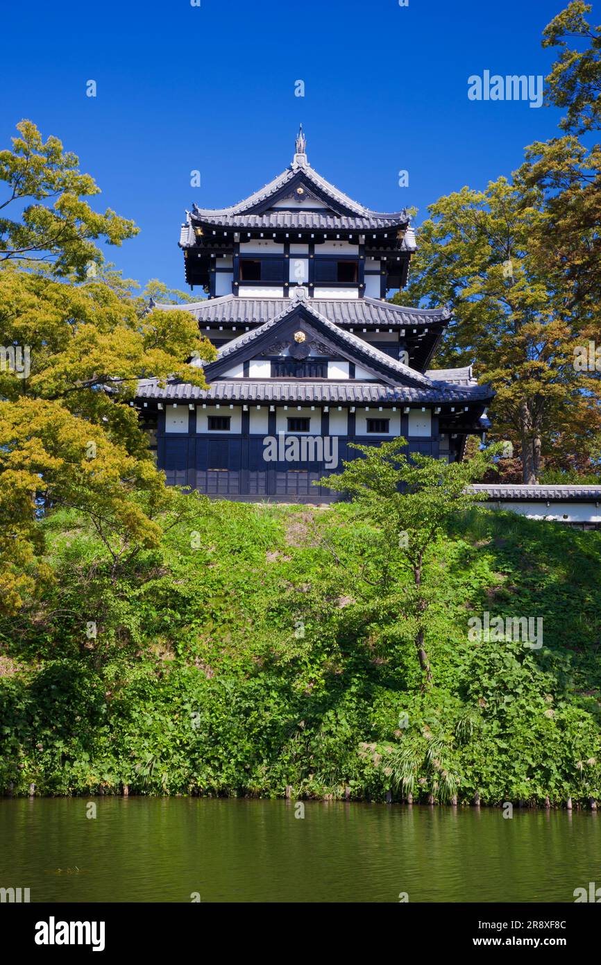 Joetsu City Canvas Print, Green Takada Park River Reflection 3