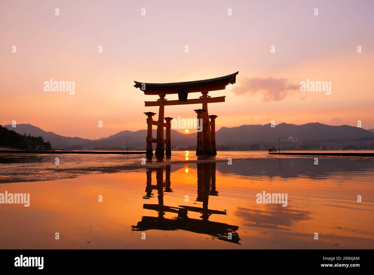 evening view of Otorii gate of Itsukushima Shrine Stock Photo - Alamy