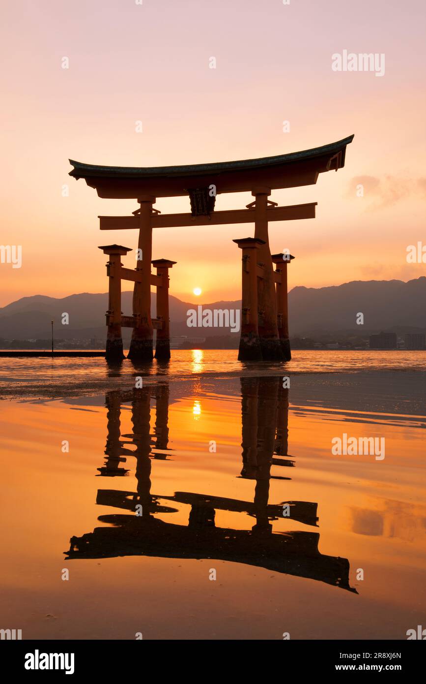 evening view of Otorii gate of Itsukushima Shrine Stock Photo - Alamy