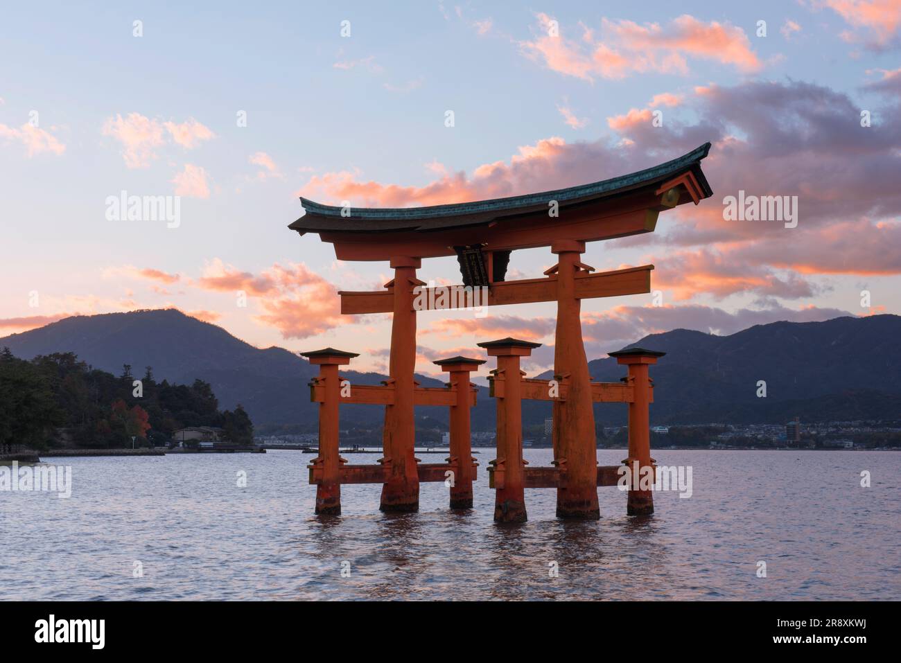 evening view of Otorii gate of Itsukushima Shrine Stock Photo - Alamy