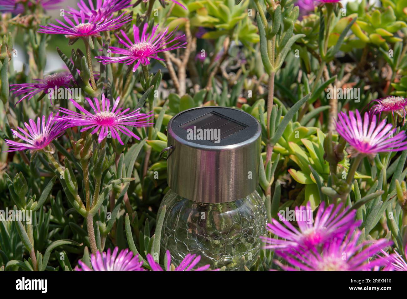 solar panel in flowers, concept idea about solar energy and its increasingly widespread use