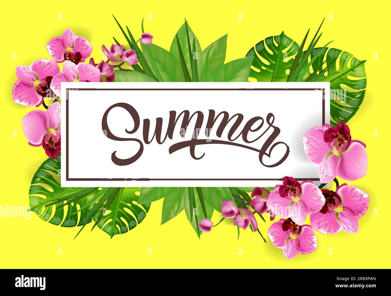 Orchids Lettering Summer lettering in frame with tropical leaves and orchids Stock Vector ...