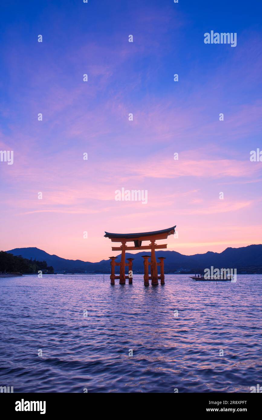 evening view of Otorii gate of Itsukushima Shrine Stock Photo - Alamy