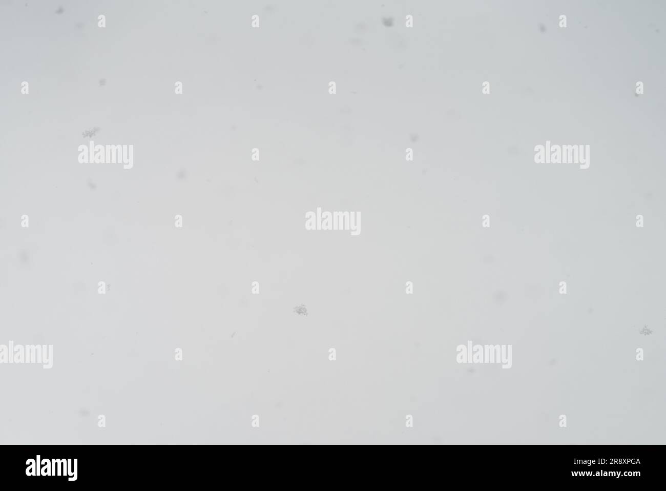 Snow flakes defocused falling ground hi-res stock photography and ...