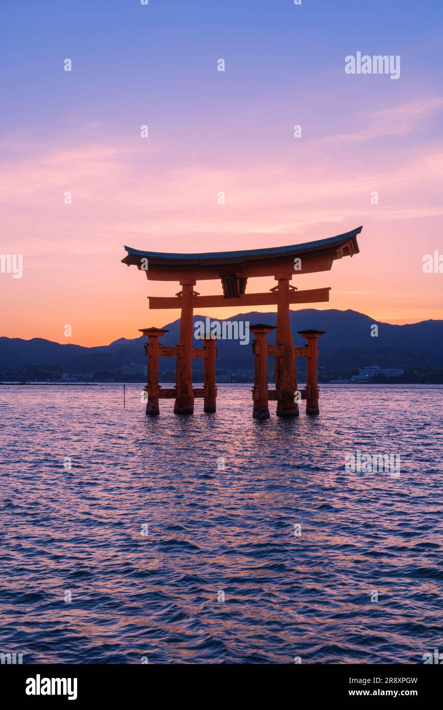 evening view of Otorii gate of Itsukushima Shrine Stock Photo - Alamy