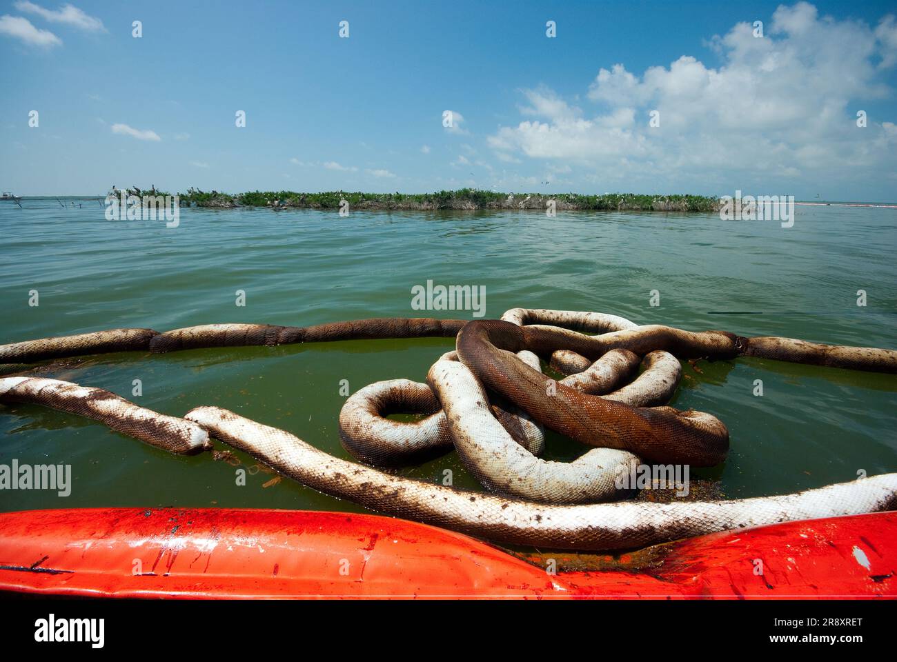 Oil booms surround the rookery of Queen Bess Island, a well known bird