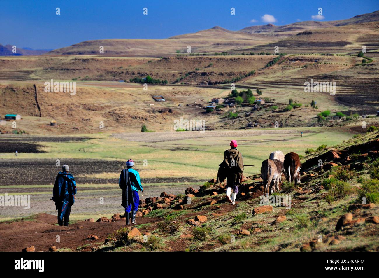 Basotho People walking near Semonkong, Lesotho, South Africa Stock Photo