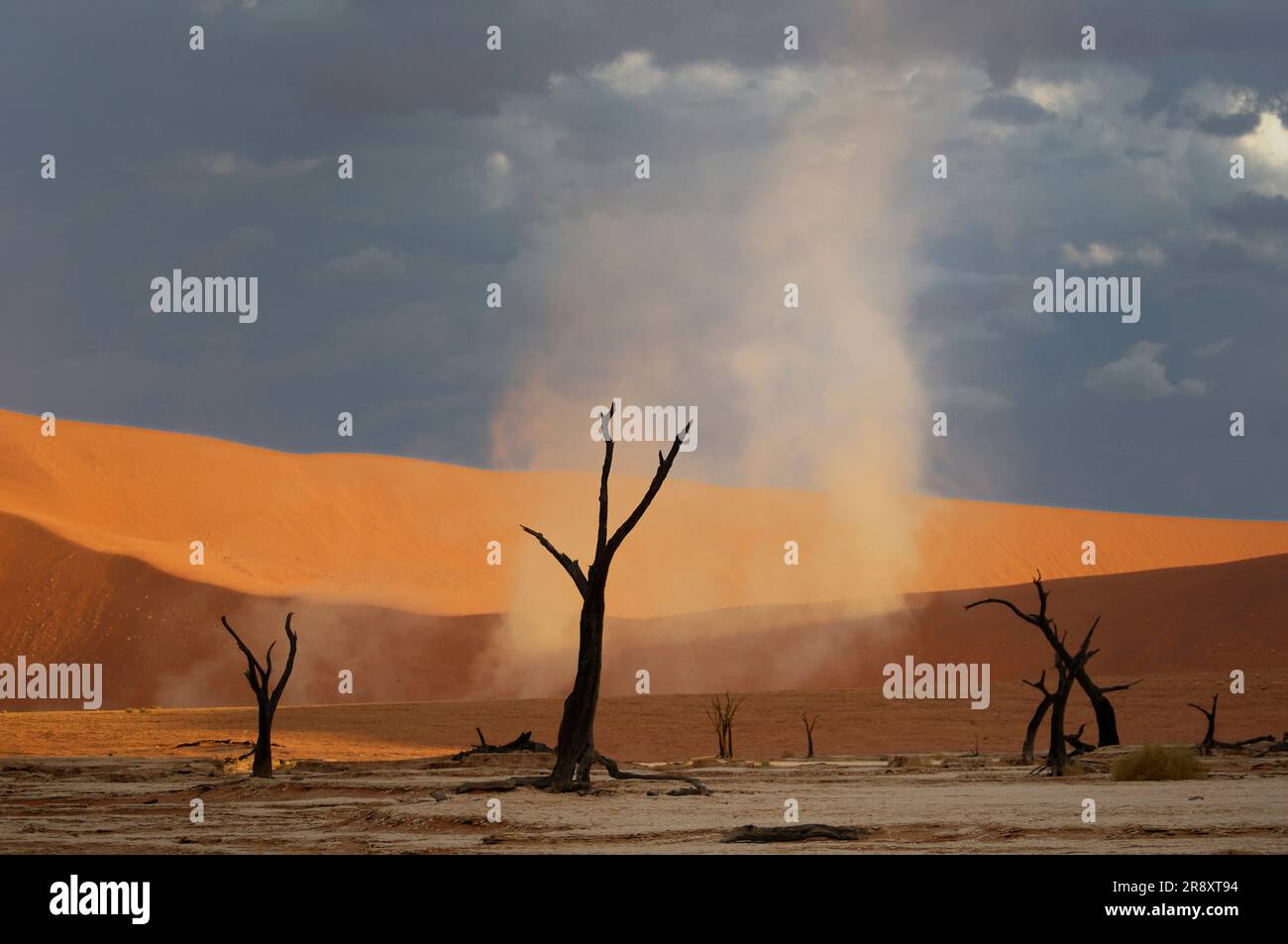 Dead Vlei, Sand Dunes, Sossusvlei area, Namib Naukluft National Park ...
