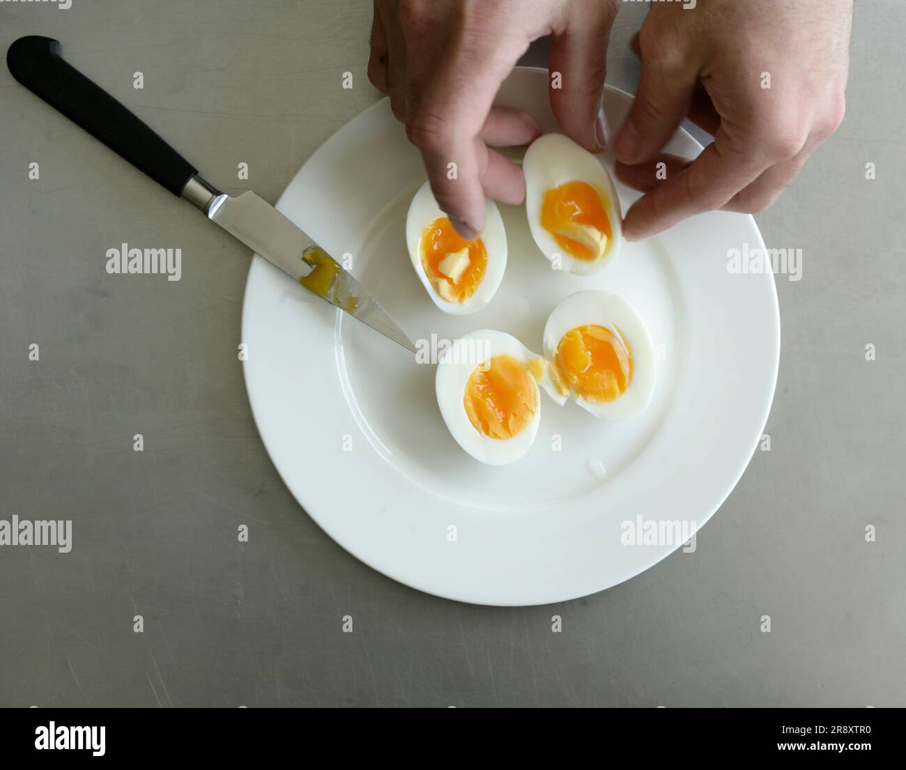 Hard Boiled Eggs split in half to reveal a yolky center Stock Photo Alamy
