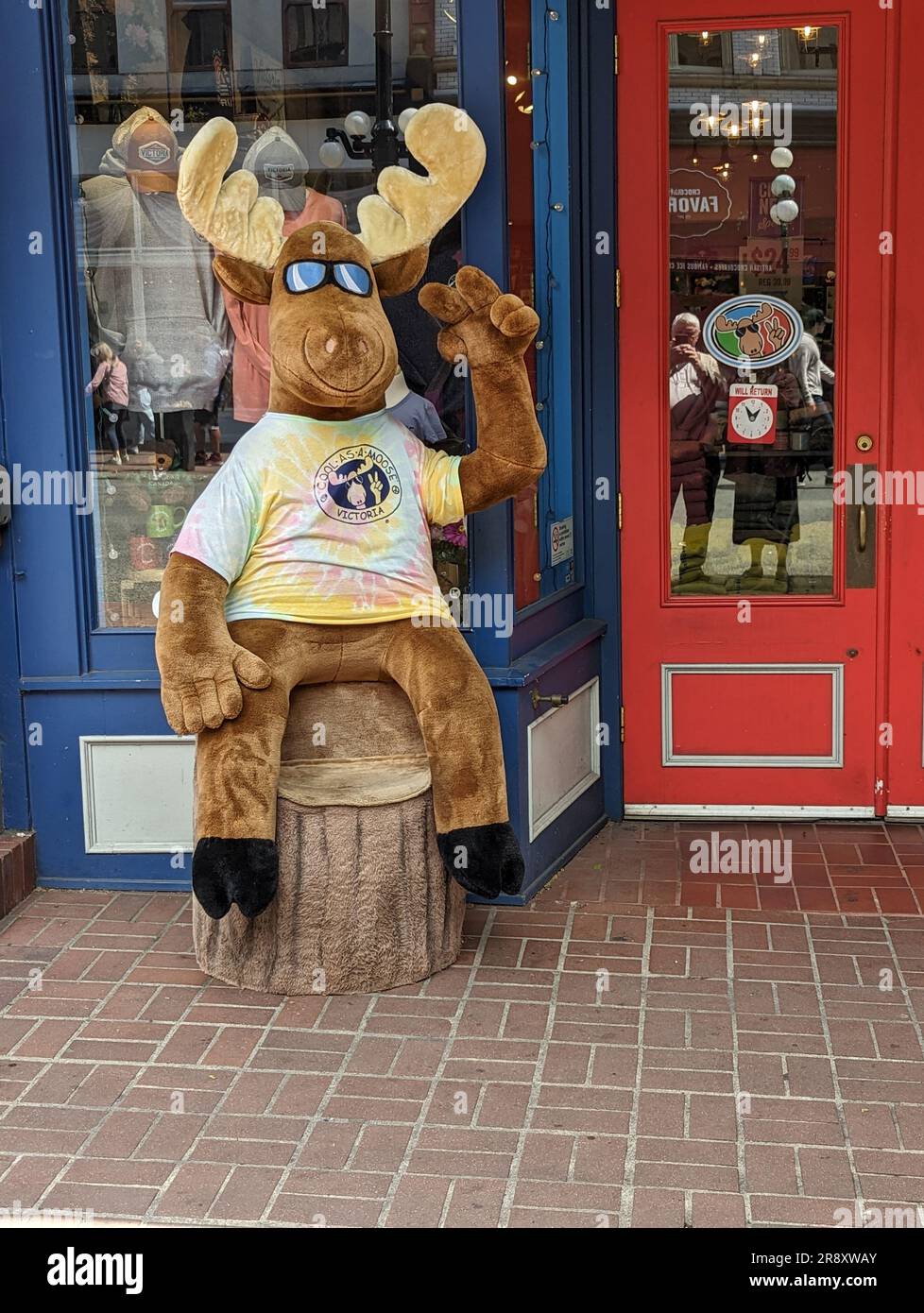 Moose toy in Shopping inner Bay Area of Victoria, Victoria Island