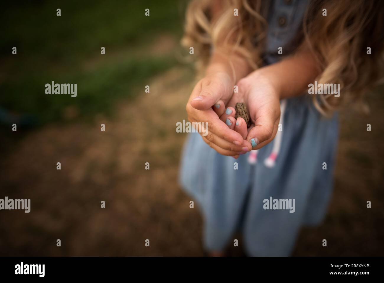 Little girl holding tiny frog in hands Stock Photo
