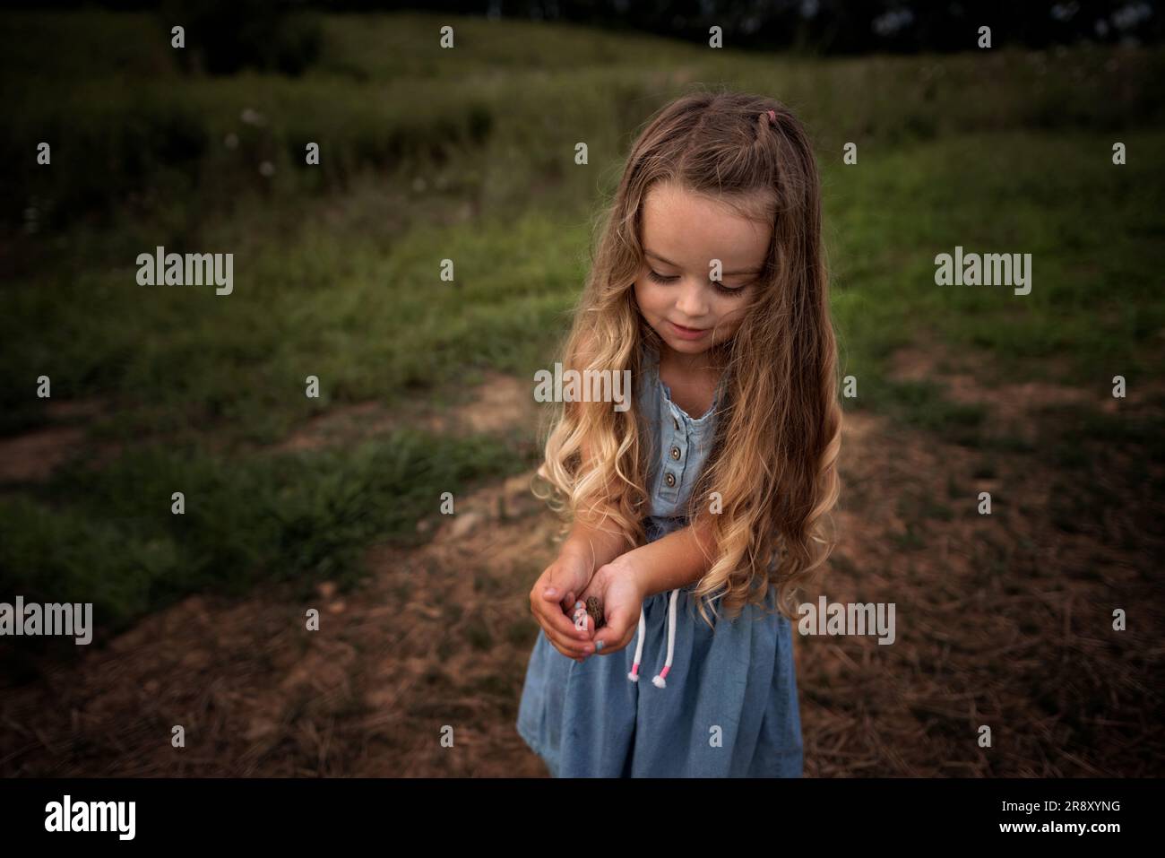 Little girl holding tiny frog and smiling in grassy field Stock Photo