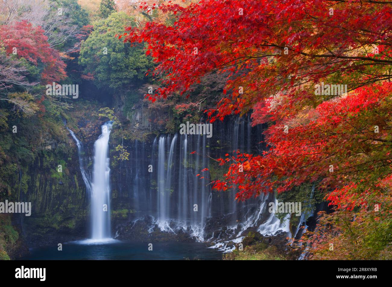 Shiraito Falls in Autumn Stock Photo - Alamy