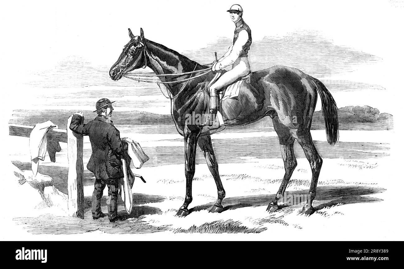 The Celebrated Race-Horse &quot;Fisherman&quot;, 1857. &quot;Fisherman&quot; is a dark brown horse, standing over 16 hands...He is a very peculiar-looking horse- short, on a high leg, walks with his fore legs wide apart, and not presenting the appearance of an animal likely to win the number of races he has done over all lengths of course. He has a white star in his forehead...No less than twenty-two races have fallen to his lot this year...Mr. Parr declares that he has an immense dislike, whether training or running, to a sunny sky, and he does not go well next the rails, as ha fancies from h Stock Photo