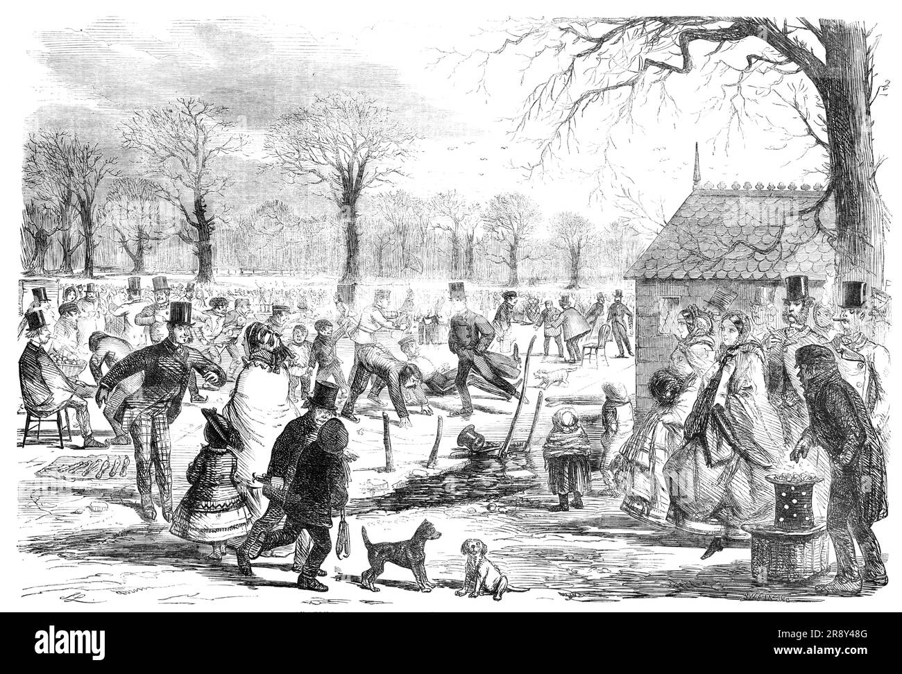 Skating in Hyde-Park - drawn by John Leech, 1857. Winter entertainment in London. '...it is in the parks where Jack Frost is to be seen in all his glory - there his admirers assemble in thousands...casting aside all distinctions of society...No bacchanalian revel more stirring and confused; and yet the only excitement is exercise!...Roasted chestnuts crackling over glowing charcoal are irresistible to boys with cold hands and a penny. And yonder battered merchant, henceforth immortalised by Mr. Leech's pencil, will...perhaps have a supper of tripe from the gains of the morning...Hark! a dull, Stock Photo