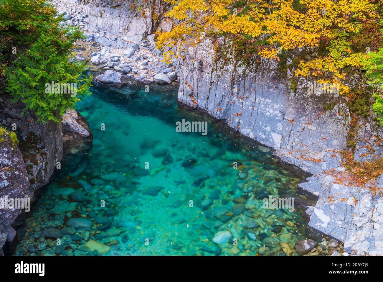 Fall In Ravine Ateragawa hi-res stock photography and images - Alamy