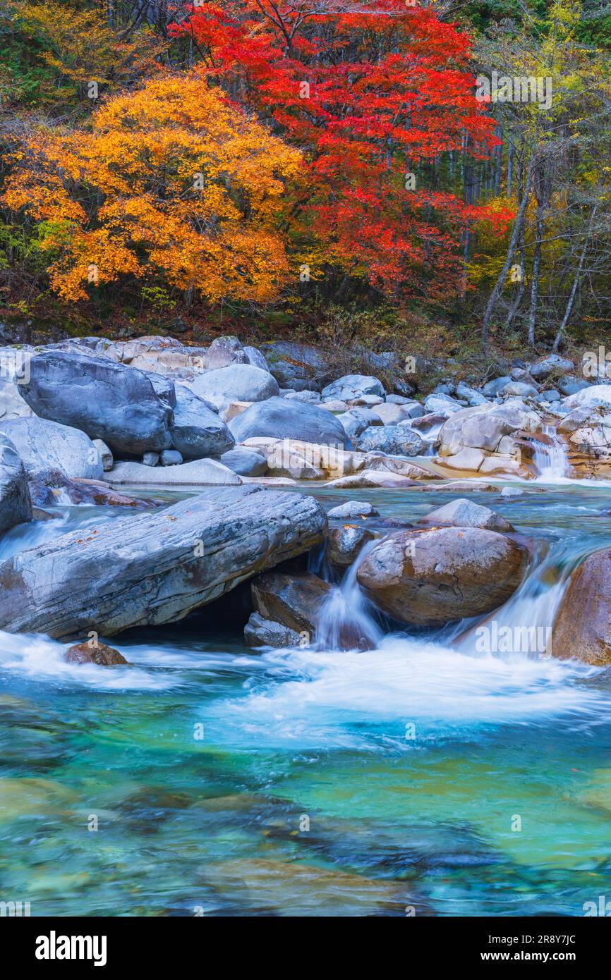 Aterakeikoku Ravine in fall Stock Photo - Alamy