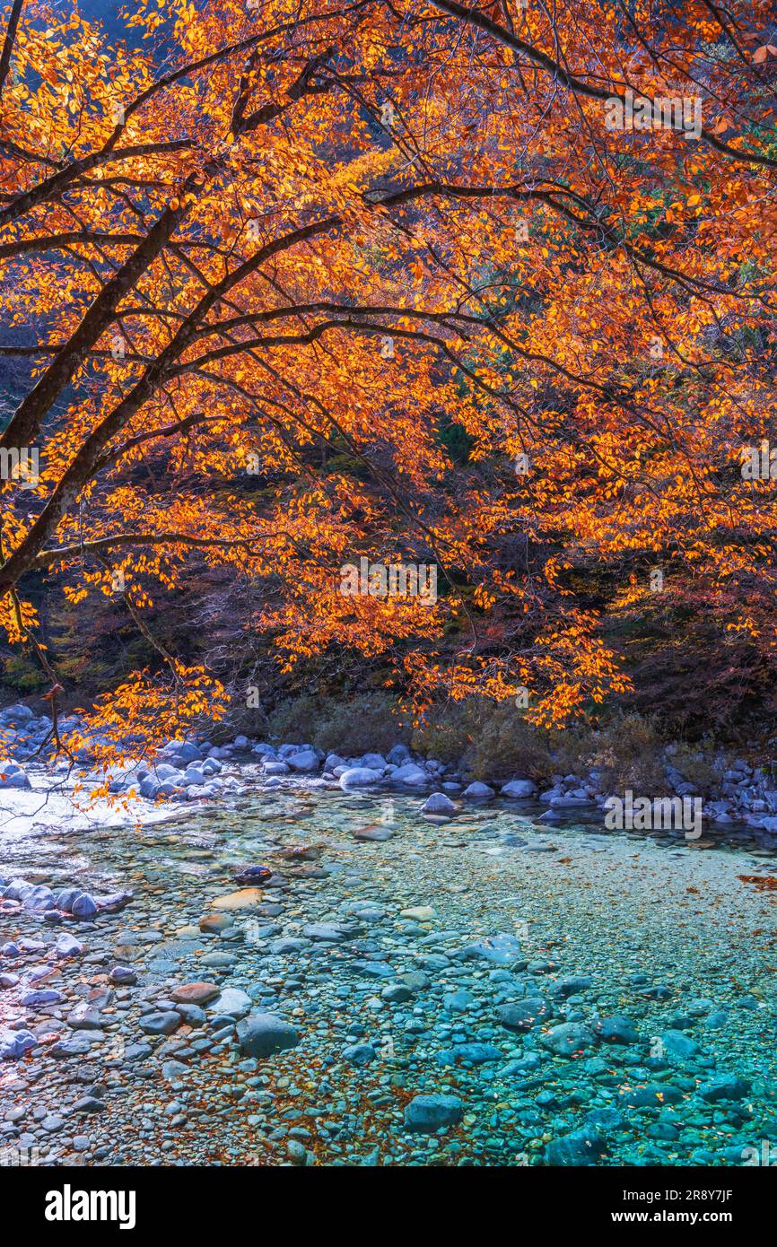 Ateragawa hi-res stock photography and images - Alamy