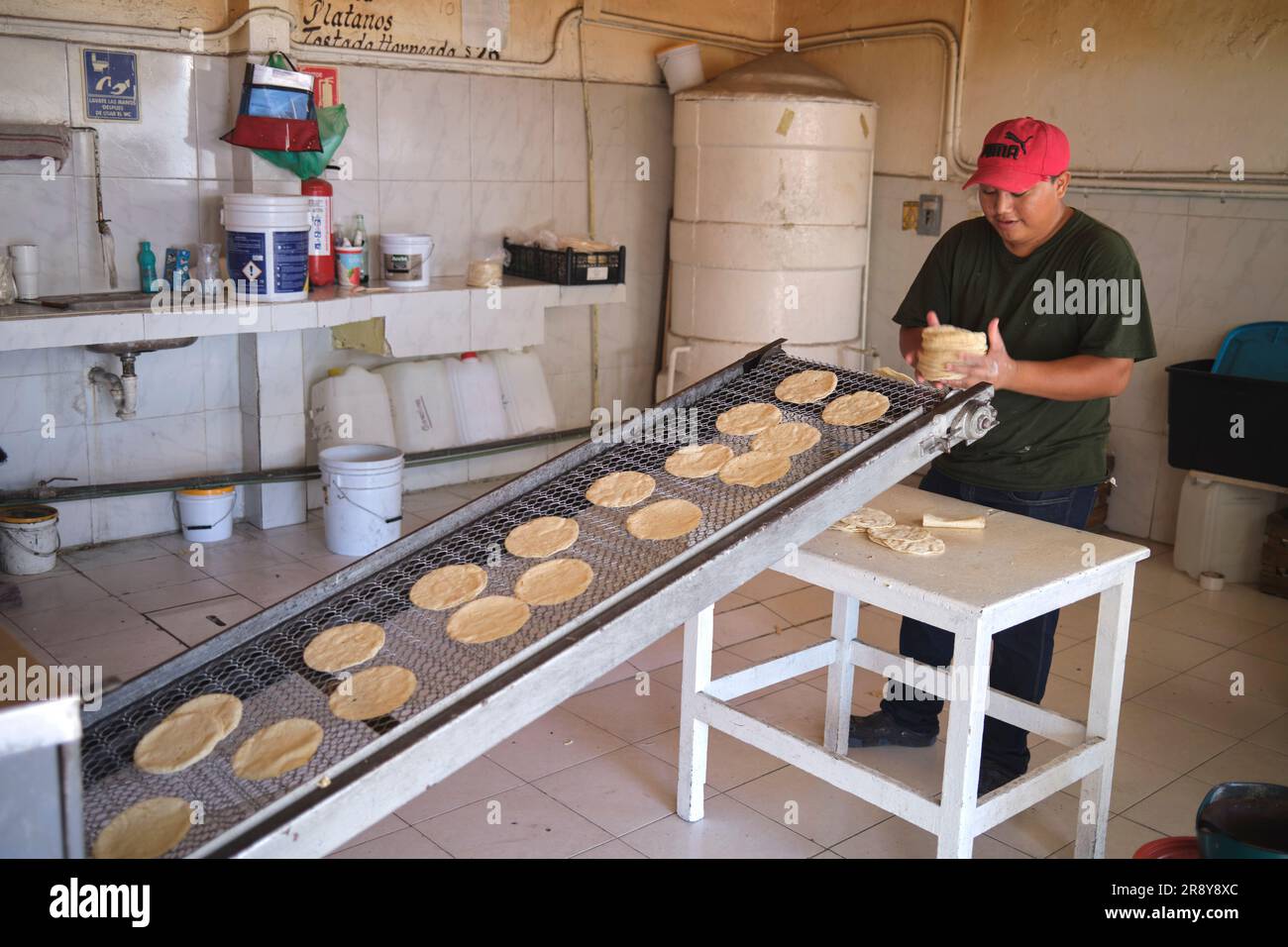 Tortilleria Market Cancun Mexico Stock Photo Alamy
