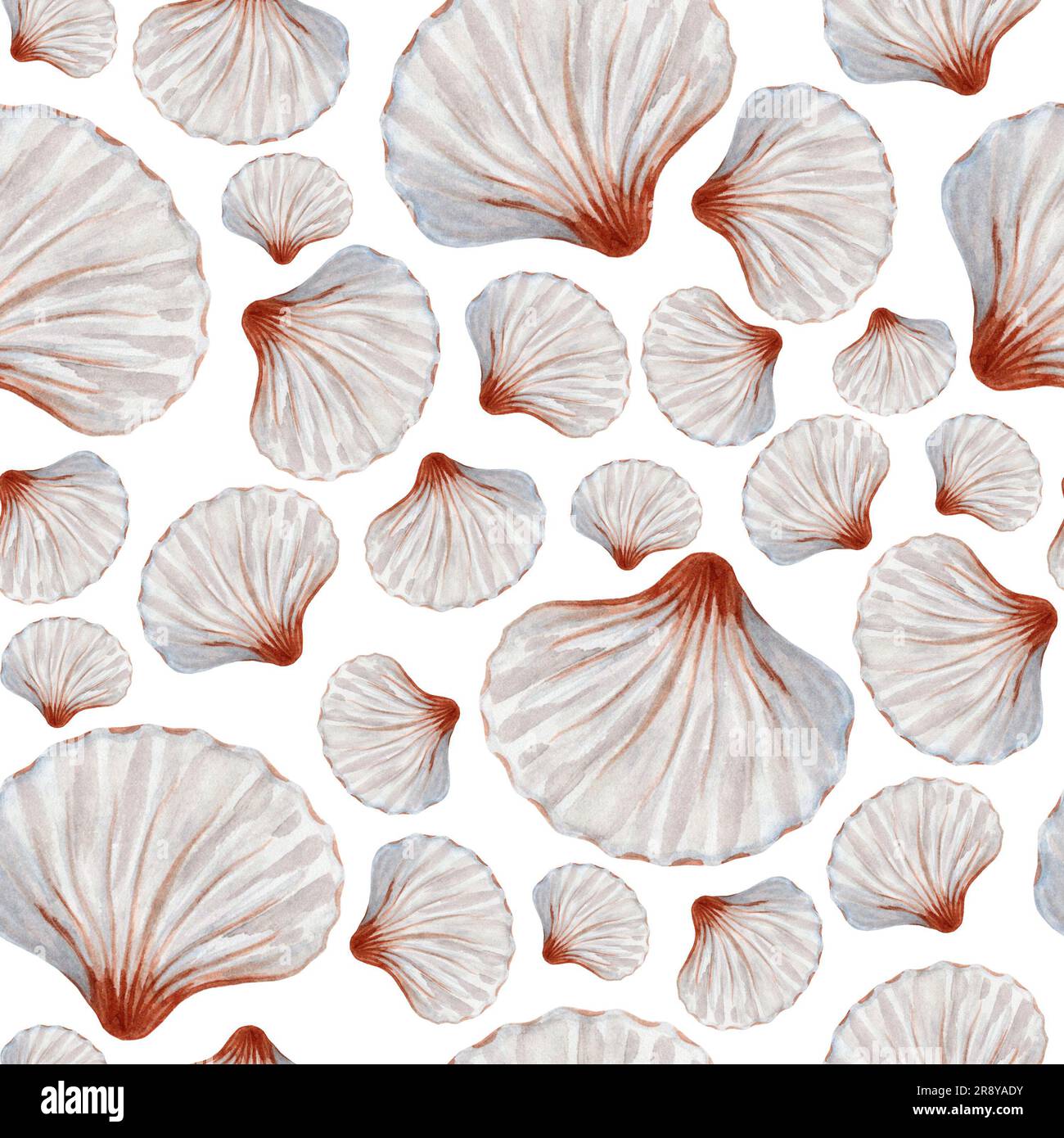 Tropical seamless pattern with white seashells. Hand drawn watercolor ...