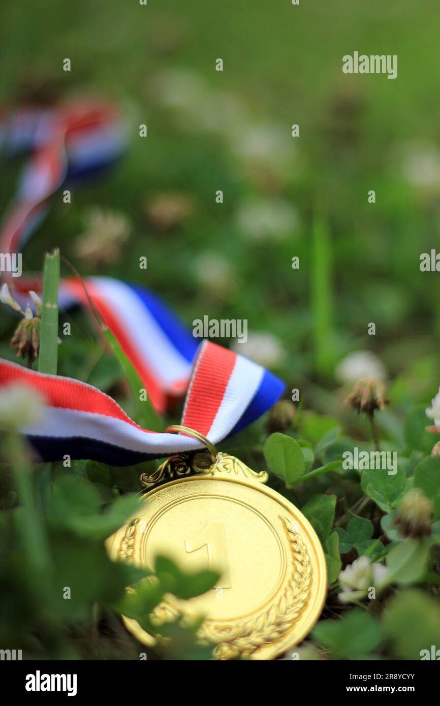 Gold medal with ribbon on grass with clover Stock Photo