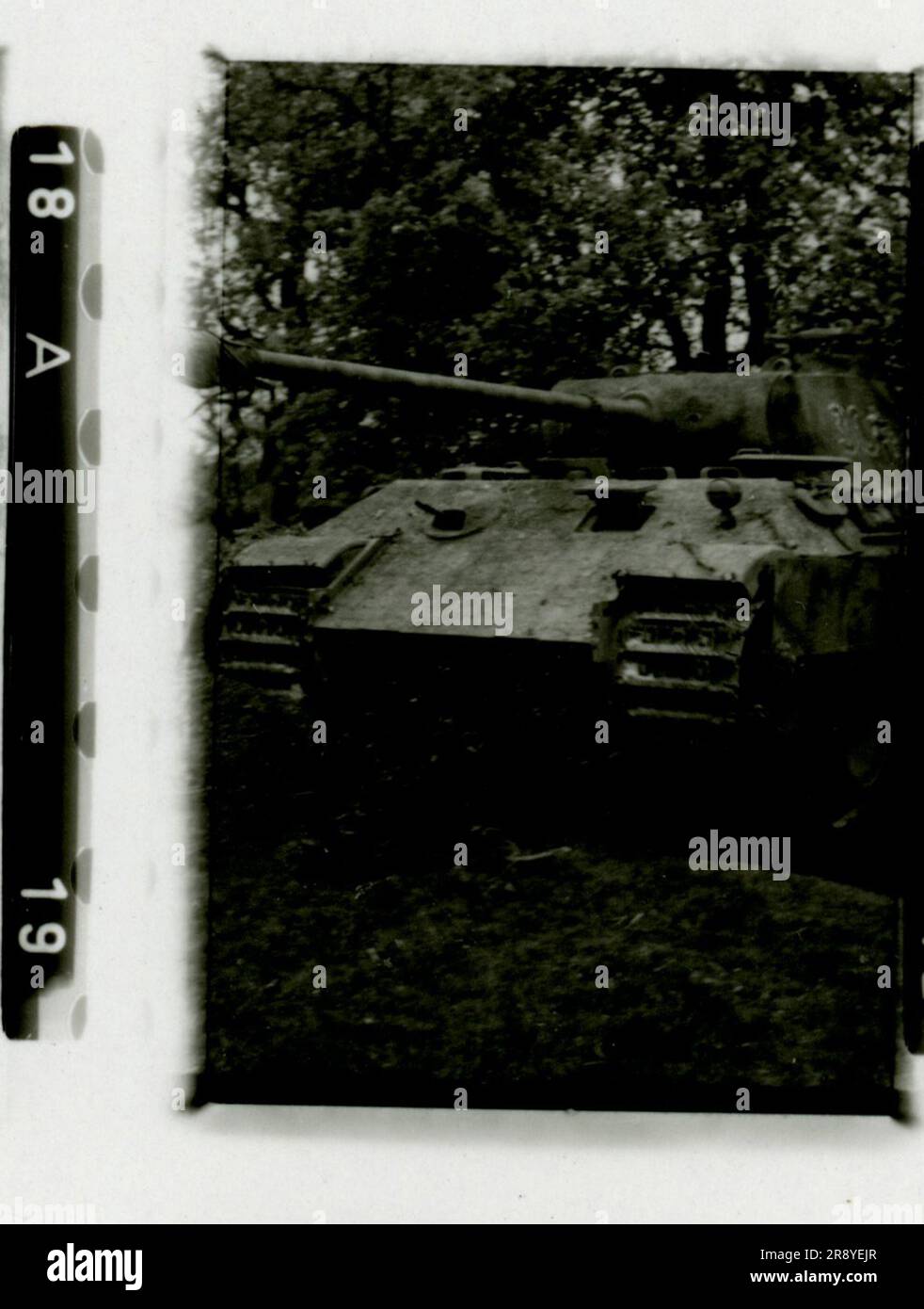SS Photographer Damher, Holland 1944 Assassinated German military personnel with car, Soldier portrait, Panther tank, group of senior officers with a map.  Images depicting the front-line activities of Waffen-SS units . Stock Photo