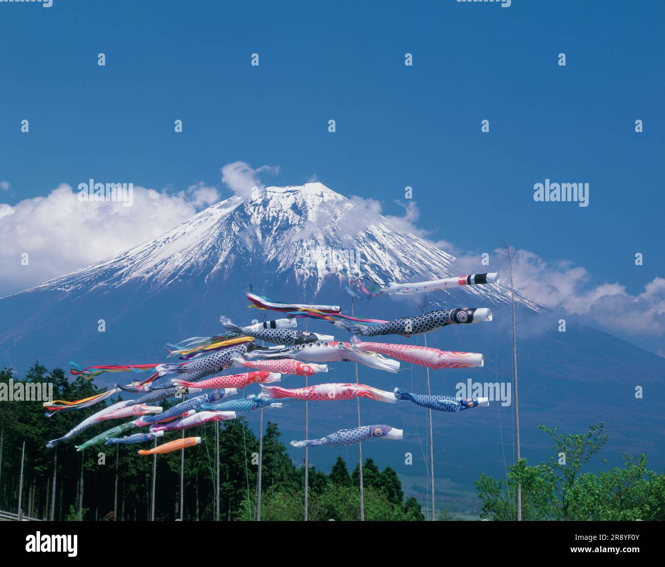 Carp banner and Mount Fuji Stock Photo
