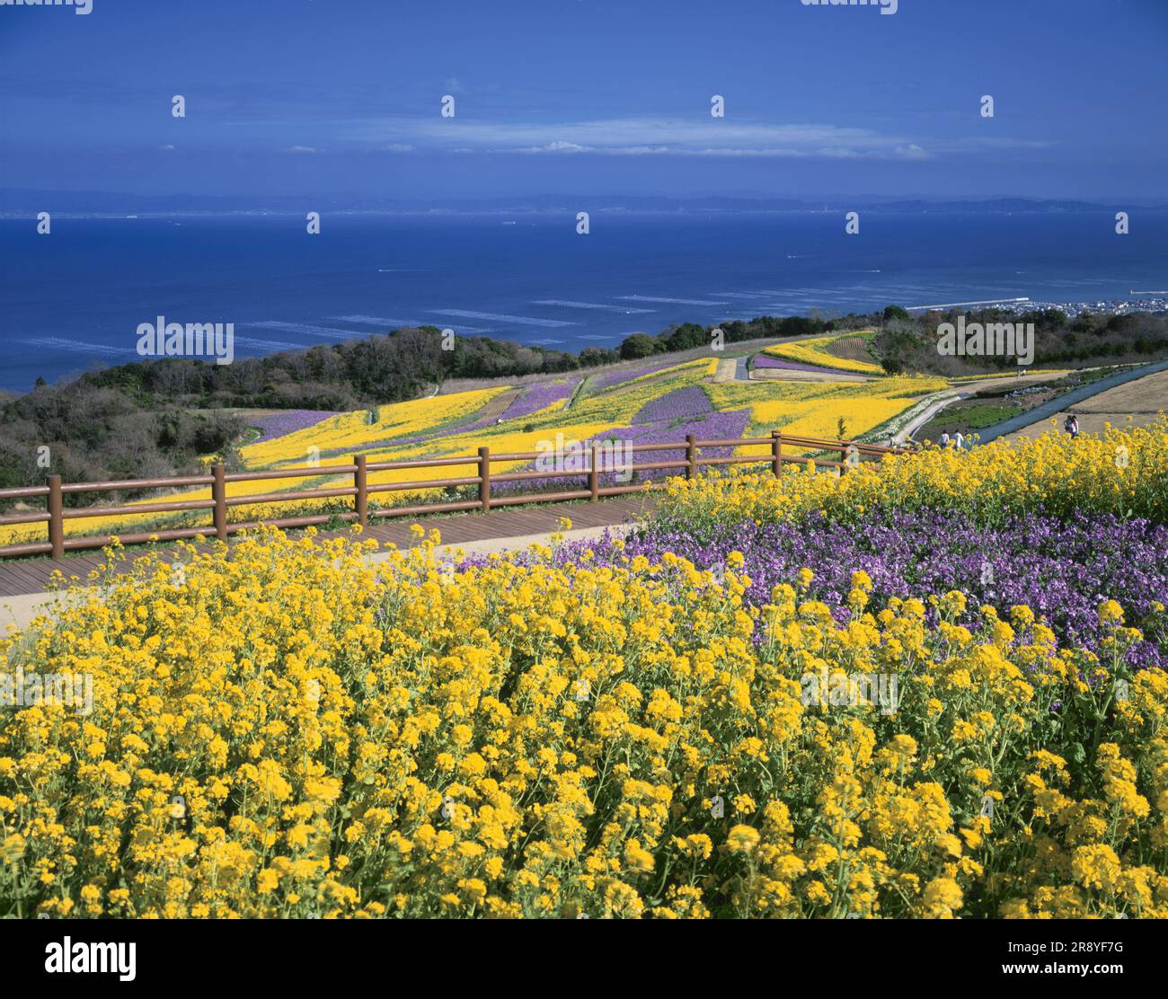 Awaji flower balcony hi-res stock photography and images - Alamy