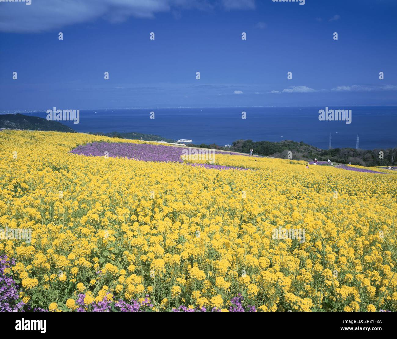 Awaji flower balcony hi-res stock photography and images - Alamy