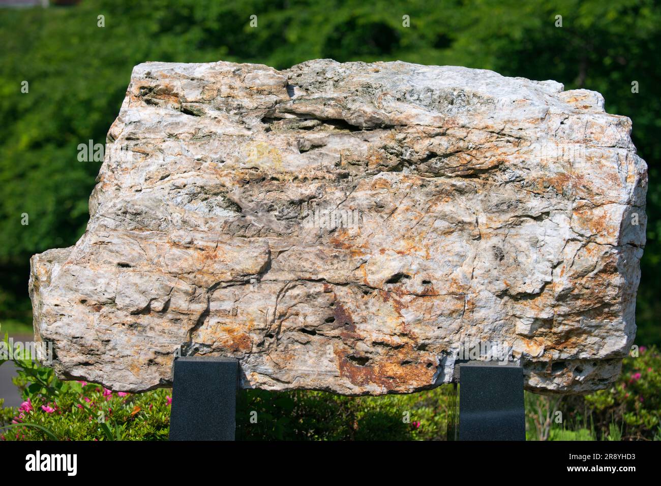 Sado gold mine gold ore Stock Photo