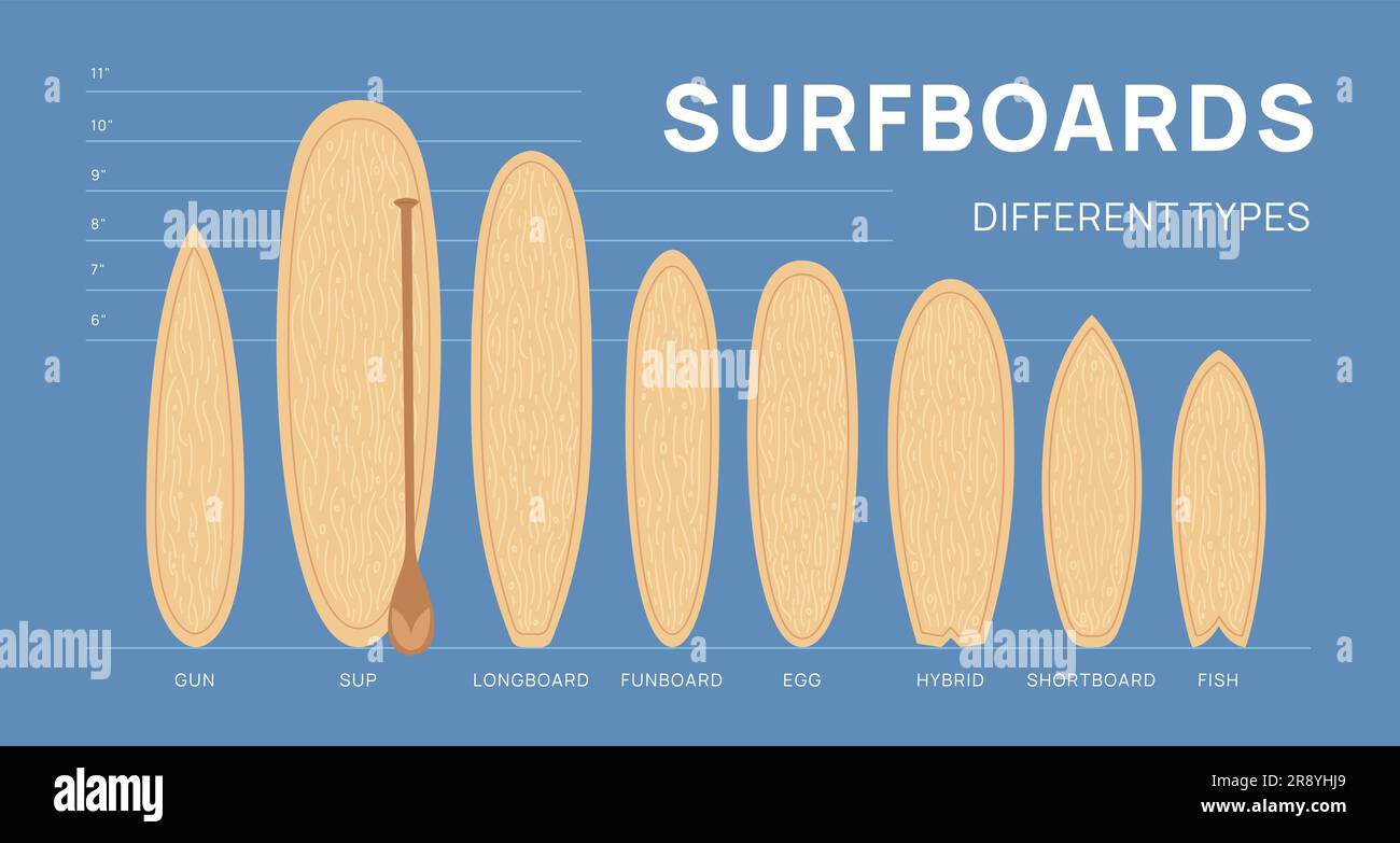 Cartoon surfboard types. Wooden boards. Water sports. Different sizes and shapes. Extreme hobby equipment infographic. Surfing or paddleboarding Stock Vector