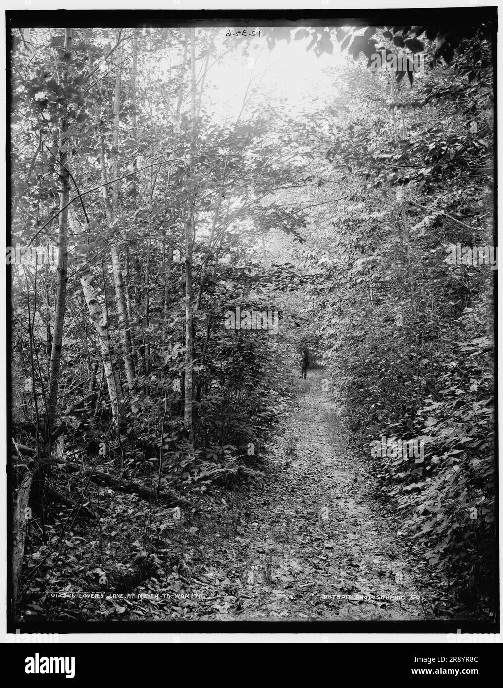 Lovers lane at Neahtawanta, between 1890 and 1901 Stock Photo Alamy