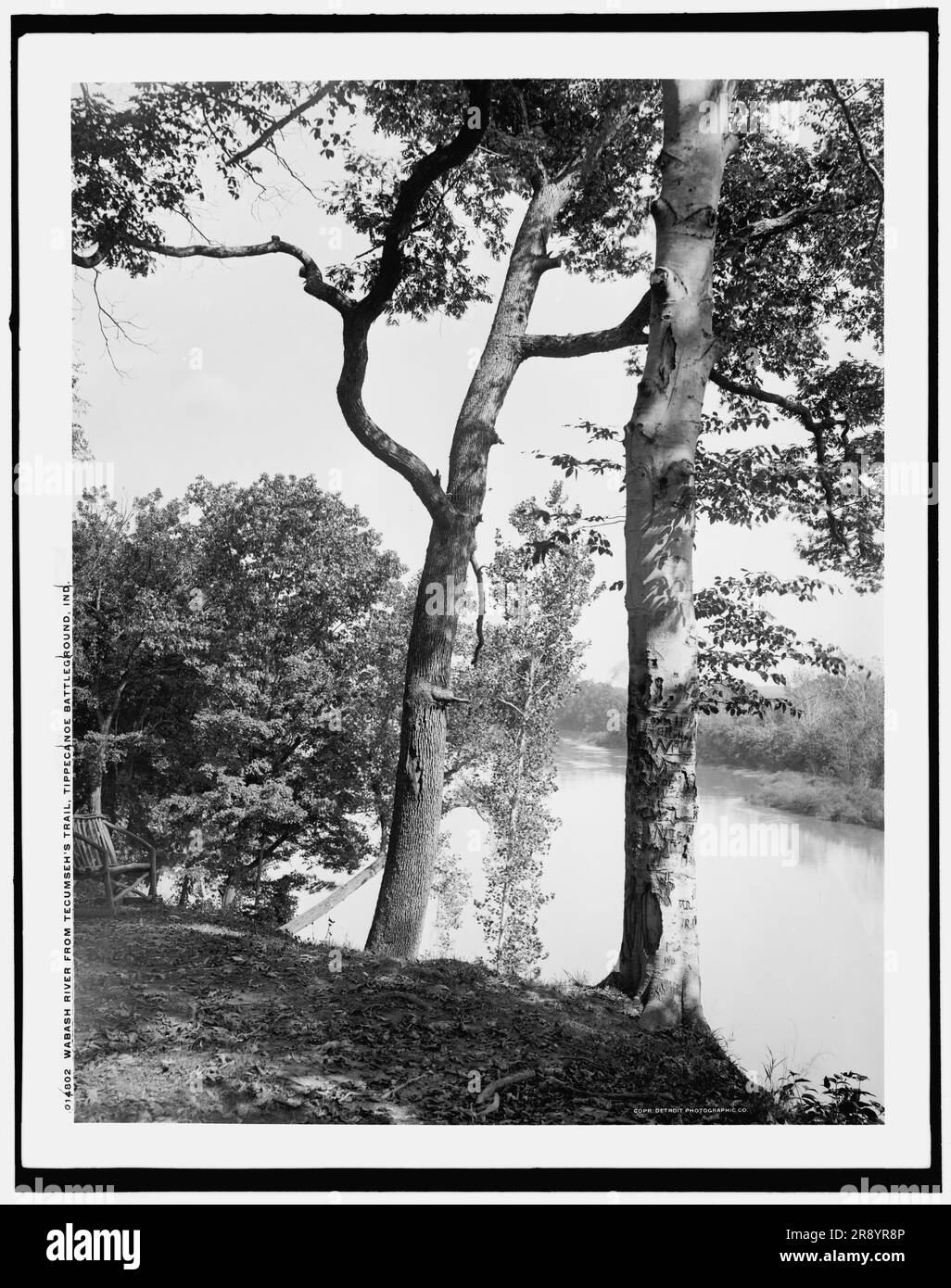 Wabash River from Tecumseh's Trail, Tippecanoe battleground, Ind., c1902. The Battle of Tippecanoe was fought in 1811, in Battle Ground, Indiana, between American forces led by then Governor William Henry Harrison of the Indiana Territory and Native American forces associated with Shawnee leader Tecumseh and his brother Tenskwatawa, leaders of a confederacy of tribes who opposed European-American settlement of the American frontier. Note wooden seat on left, and graffiti on tree. Stock Photo