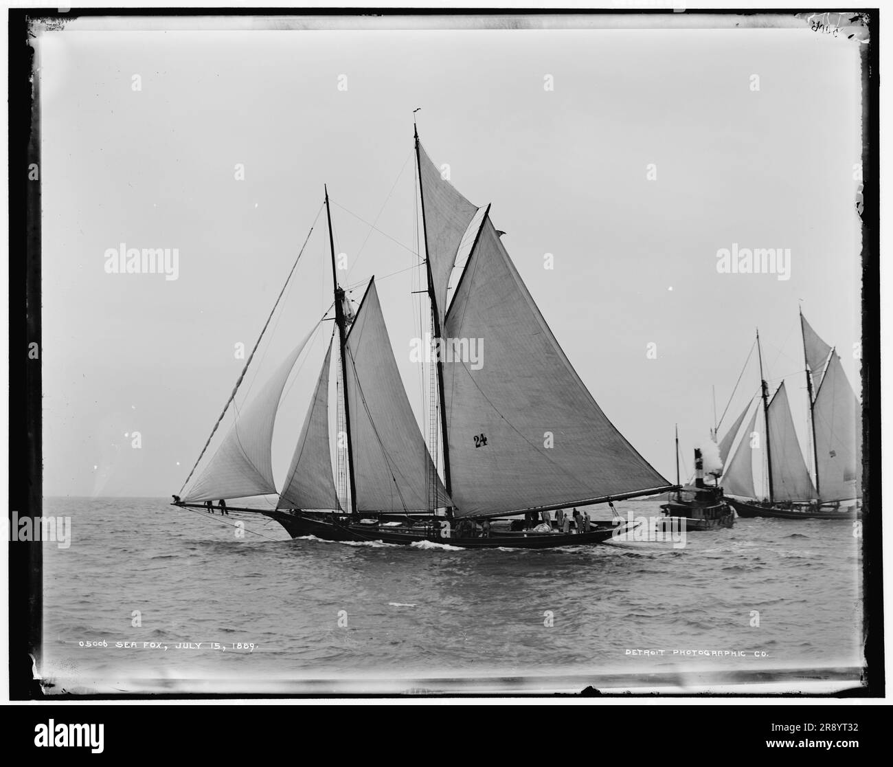 Sea Fox, 1889 July 15 Stock Photo Alamy