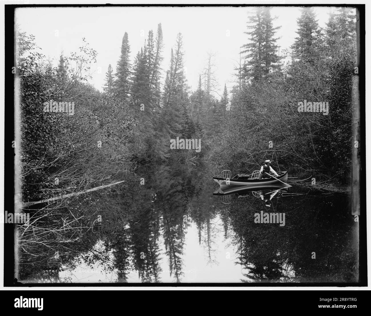 Lake Gogebic, Mich., State River, looking down, c1898 Stock Photo - Alamy