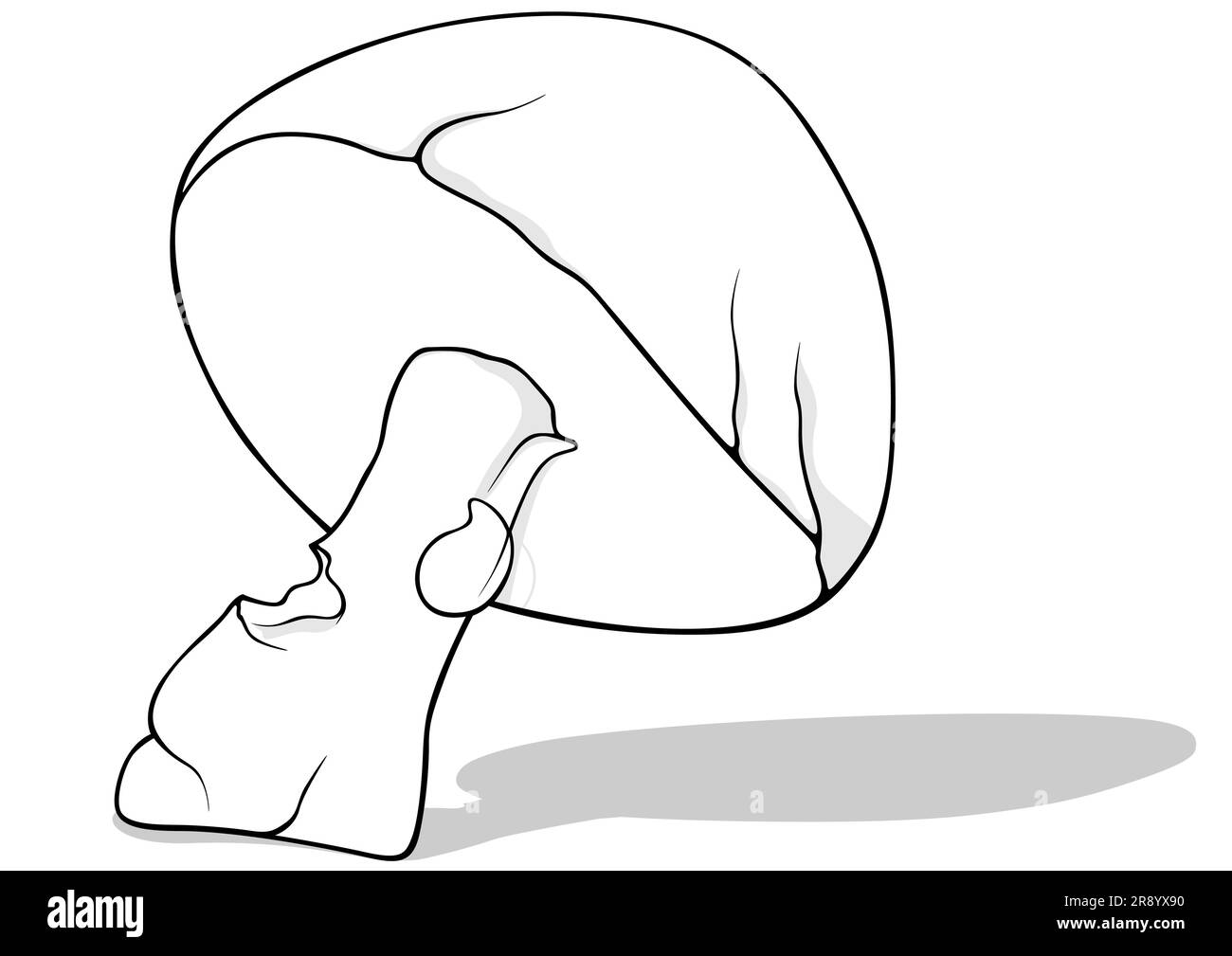 Drawing of a Forest Mushroom Stock Vector Image & Art Alamy